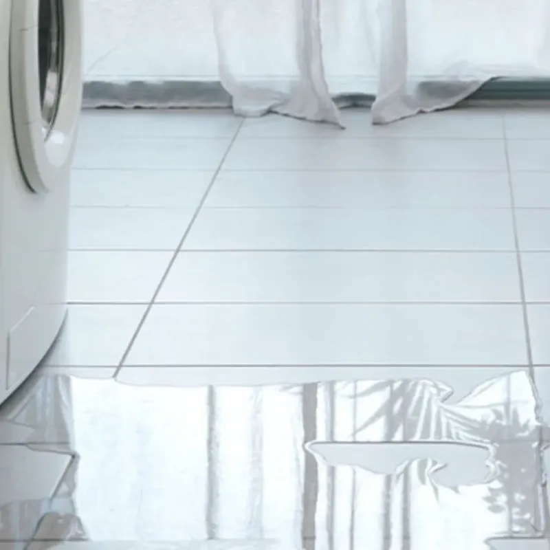 Appliance Leak Cleanup in Dixiana, AL