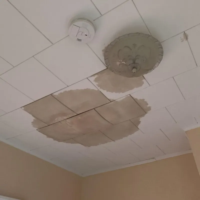 Ceiling Water Damage Repair in Dixiana, AL