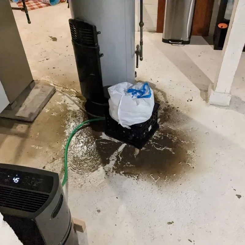 Sewage Backup Cleanup Service in Dixiana, AL